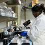 NHS labs fail to share data vital for diagnosis and care of rare diseases, investigation finds