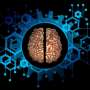 Video games in MRI scanners aim to map brains as they predict and adapt