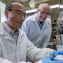 Portable device delivers rapid testing for mosquito-borne viruses