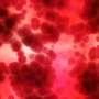 Blood cancer study links blood formation and bone health