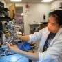 A brainstem signal reorganizes the neural code for taste