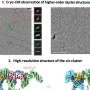 Hidden lymphatic signal amplifier could inform treatments for lymphedema and cancer metastasis