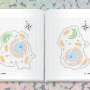 Atlas of immune cells explains how genetic variants cause disease