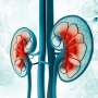 UACR, UPCR provide indistinguishable prognostic information in chronic kidney disease
