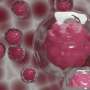Alternative signaling pathway improves transplantation of blood stem cells