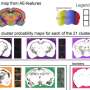 New method automatically maps myelin patterns in the brain, revealing signs of injury