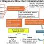 International study validates less invasive approach to diagnosing mitochondrial disease