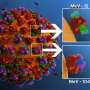 New antibodies could lead to first monoclonal treatment for measles