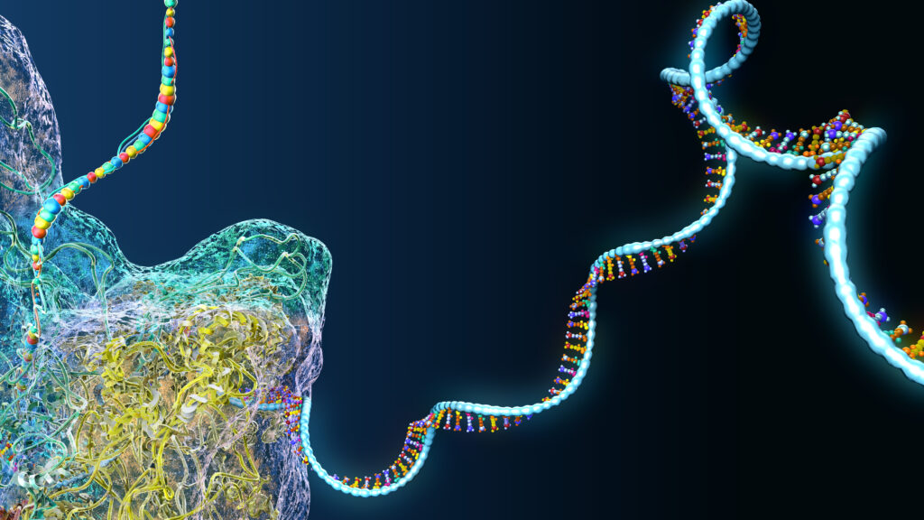 STAT+: ARPA-H funds biotechs working on custom RNA therapies