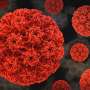 WHO experts recommend HPV shot for girls aged 4–8