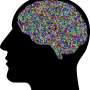 Researchers highlight how brain economy principles could transform clinical care