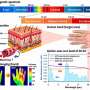 Matching infrared wavelengths to skin improves local blood circulation in small human trial