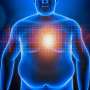 Understanding adult obesity