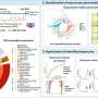 Environmental exposures associated with Alzheimer's disease and related dementias revealed