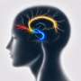 Deep brain stimulation study links multiple pathways to sustained improvement in treatment-resistant depression