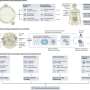 Scientists outline blueprint for next-generation wearable eye health sensors