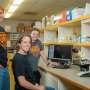 Researchers looking into foundations of autoimmune disease development, may yield new treatments