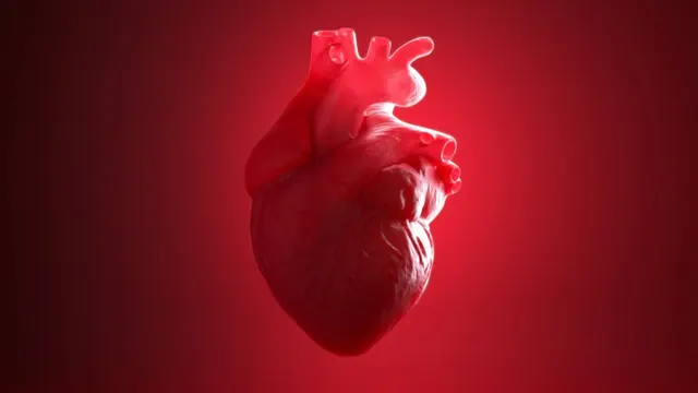 STAT+: Novo Nordisk stops two cardiovascular trials of drug aimed at lowering inflammation