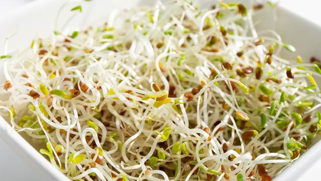 Outbreak linked to alfalfa sprouts; people sickened with E. coli and Salmonella