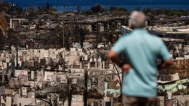 Risk from toxic metals can persist months after wildfires, Maui study finds