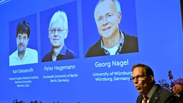 2026 Nobel Prize in Medicine awarded for brain research tool called optogenetics