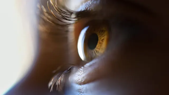 STAT+: Life Biosciences share glaucoma study updates for its cellular reprogramming drug