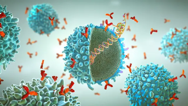 Could we one day vaccinate against every cancer?