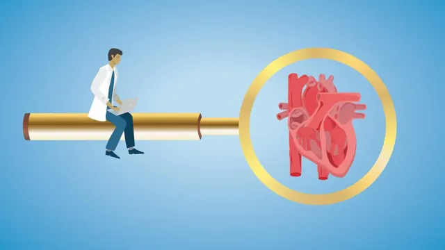 Opinion: I discovered a new structure in the heart — just by looking closely