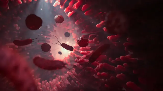 When gut microbes run low on fiber, they may start eating you