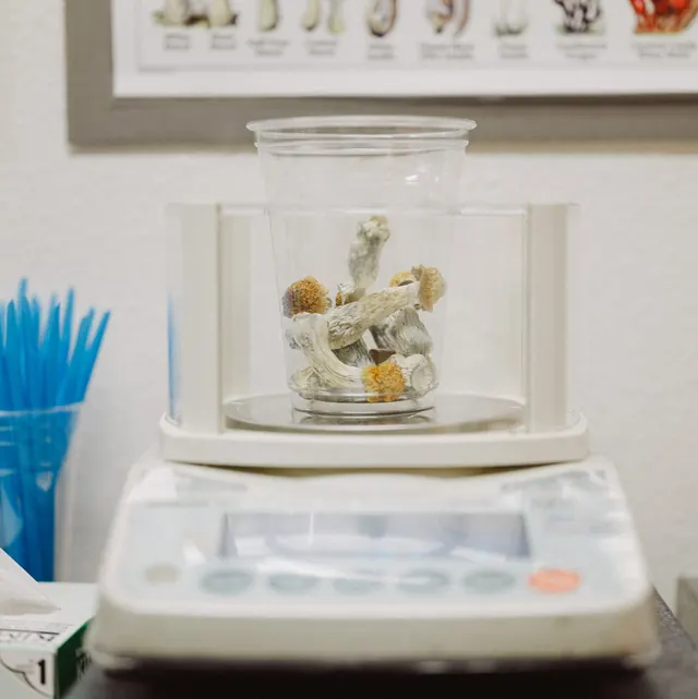 Psilocybin May Prevent Nerve Damage Caused by Chemotherapy, Study Finds