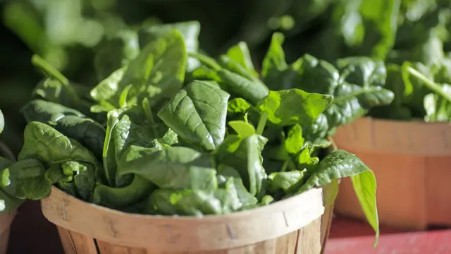 STAT+: FDA takes another look at botanical drugs