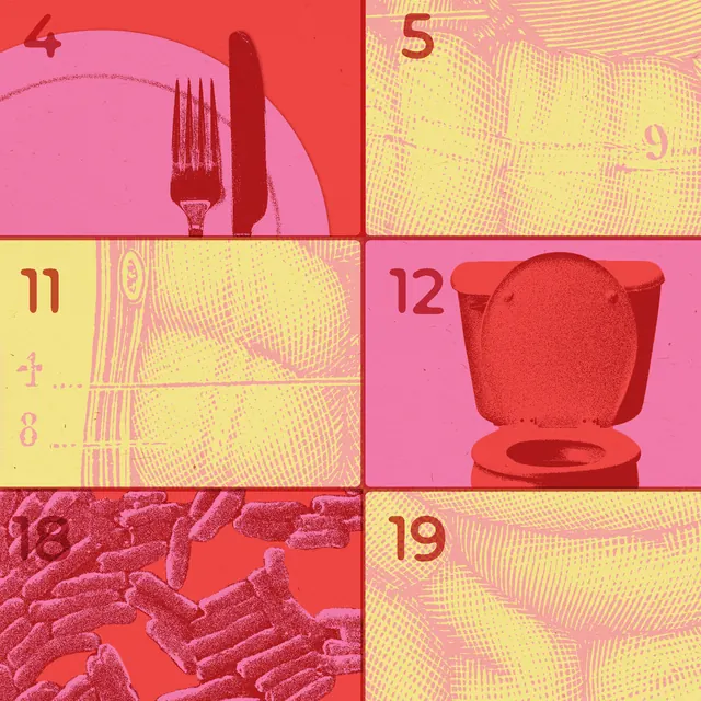 Foodborne Illnesses Can Lead to Long-Term Gut Issues