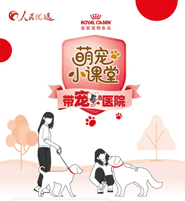 王姜维：被忽视的肾脏 正悄悄偷走“毛孩子”的晚年