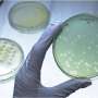 First global guideline sets standards for the use of phages in hard-to-treat infections
