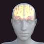 Nobel-winning technique uses colored light to help scientists map and control the brain