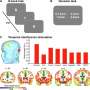 Stimulating the striatum changes how people weigh mental effort against rewards