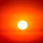 Warm temperatures curb appetite but can still promote weight gain, animal experiments find